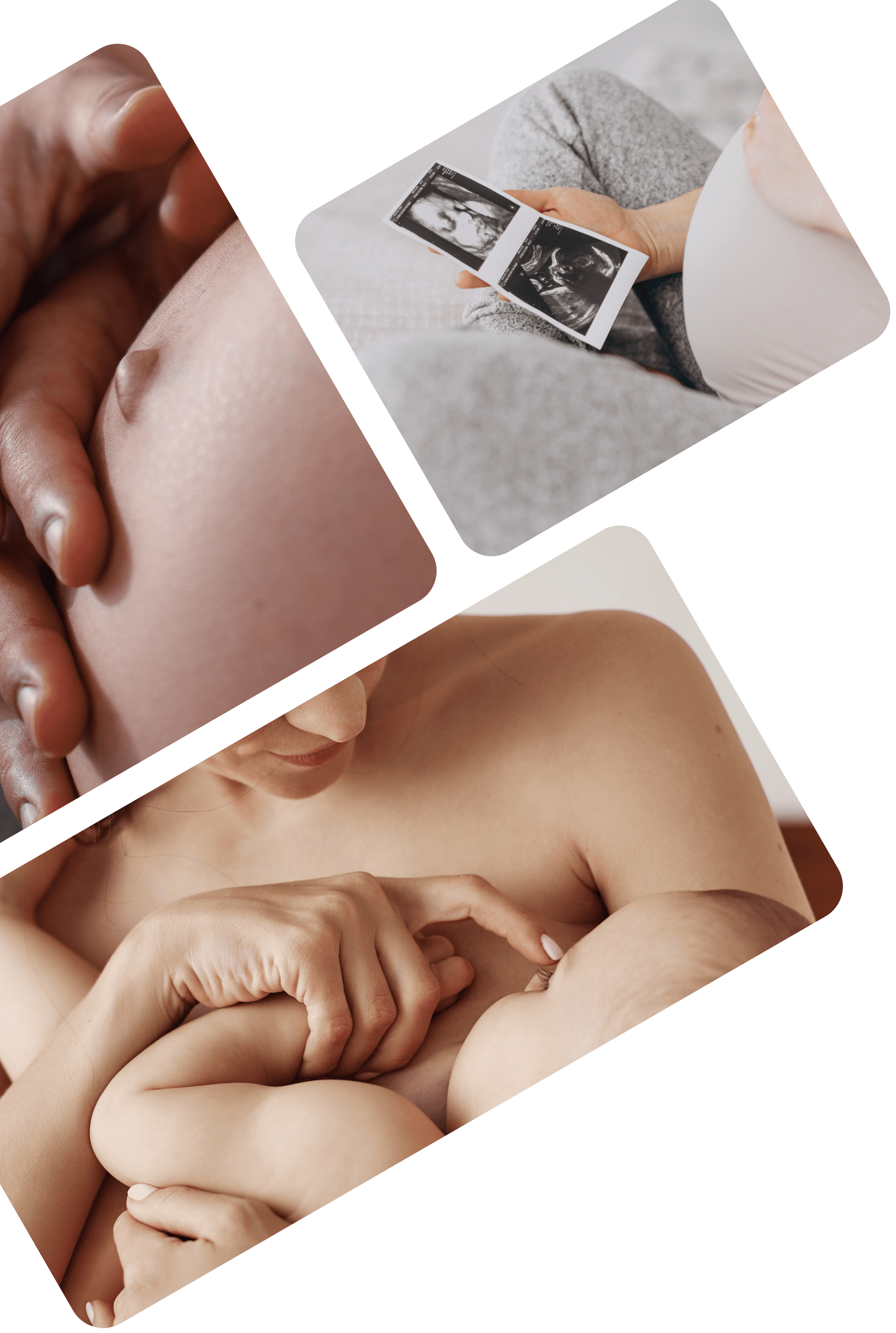 Fertilium Vitaminas Embarazo + Preconcepcion Mujer + Prenatal